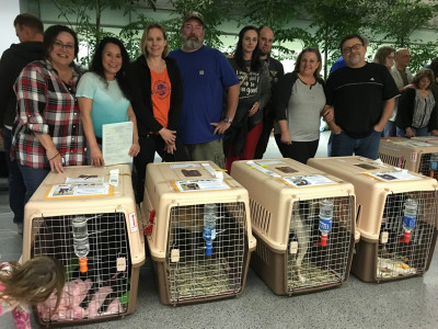 A Better Chance Rescue - Pet Shelter and Rescue in San Mateo, California