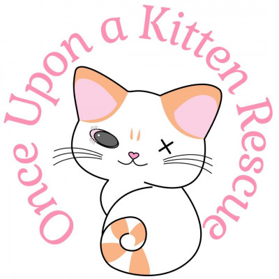 Once Upon A Kitten Rescue - Pet Shelter and Rescue in Santa Susana, California