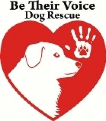 Be Their Voice Dog Rescue - Pet Shelter and Rescue in Vista, California