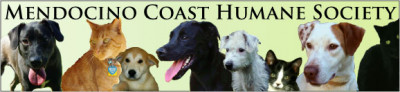 Mendocino Coast Humane Society - Pet Shelter and Rescue in Fort Bragg, California