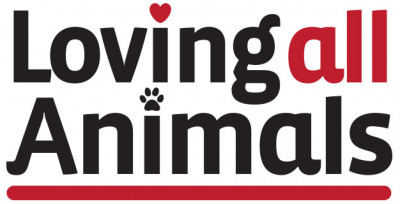 Loving All Animals, Inc. - Pet Shelter and Rescue in Coachella, California