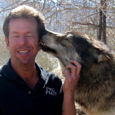 Good Dogs Are Trained - Pet Shelter and Rescue in Moriarty, New Mexico