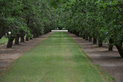 Country Road Rescue - Pet Shelter and Rescue in Modesto, California