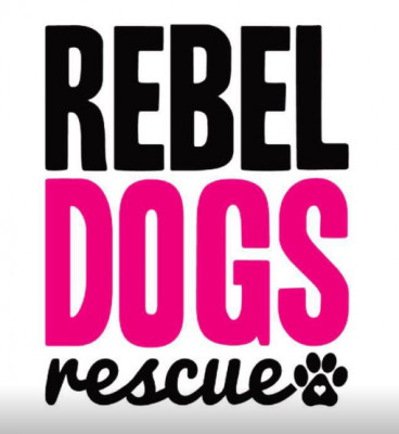 Rebel Dogs Rescue - Pet Shelter and Rescue in Huntington Beach, California