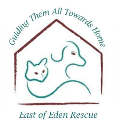 East Of Eden Canine Rescue - Pet Shelter and Rescue in Tracy, California