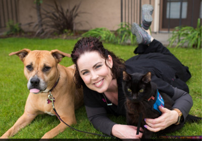 All Cats Go To Heaven - Pet Shelter and Rescue in Anaheim, California