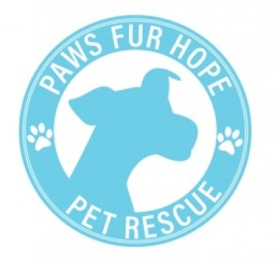 Paws Fur Hope - Pet Shelter and Rescue in Glendale, California