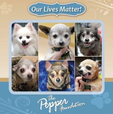 The Pepper Foundation - Pet Shelter and Rescue in Los Angeles, California