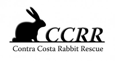 Contra Costa Rabbit Rescue - Pet Shelter and Rescue in Antioch, California