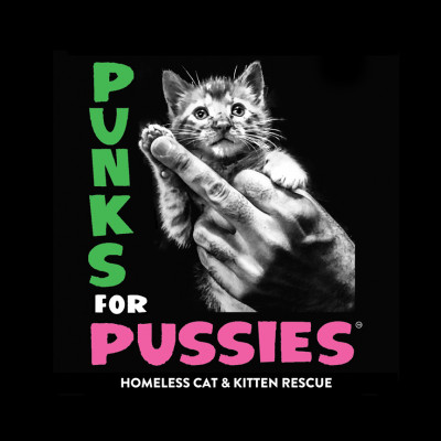 Lifelines For Felines, Inc - Pet Shelter and Rescue in Morongo Valley, California