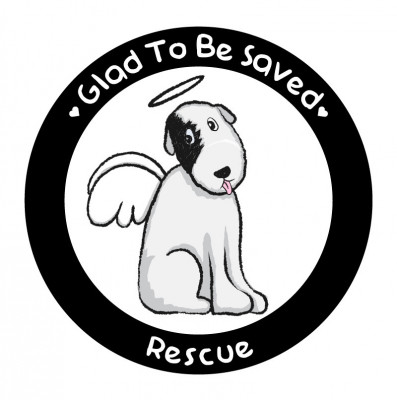 Glad To Be Saved Rescue - Pet Shelter and Rescue in Imperial Beach, California