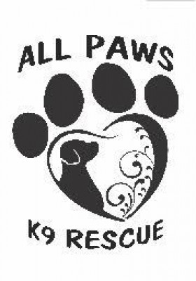 All Paws K9 Rescue - Pet Shelter and Rescue in Wildomar, California