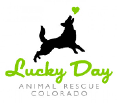 Lucky Day Animal Rescue Of Colorado - Pet Shelter and Rescue in Aspen, Colorado