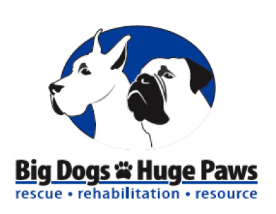 Big Dogs Huge Paws, Inc - Pet Shelter and Rescue in Larkspur, Colorado