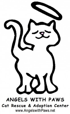 Angels With Paws Cat Adoption And Shelter - Pet Shelter and Rescue in Lakewood, Colorado