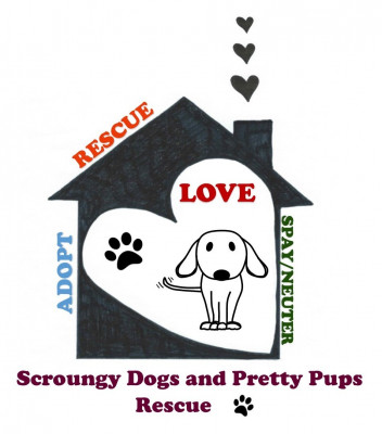 Scroungy Dogs And Pretty Pups Rescue - Pet Shelter and Rescue in Loveland, Colorado