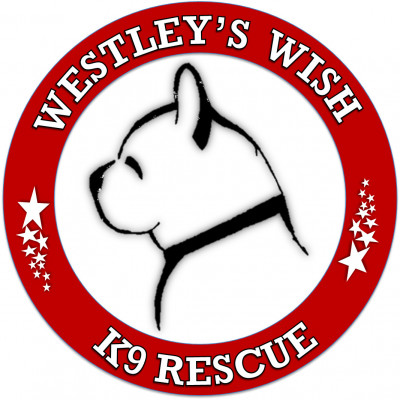 Soul Mutts Rescue CT - Pet Shelter and Rescue in Colebrook, Connecticut