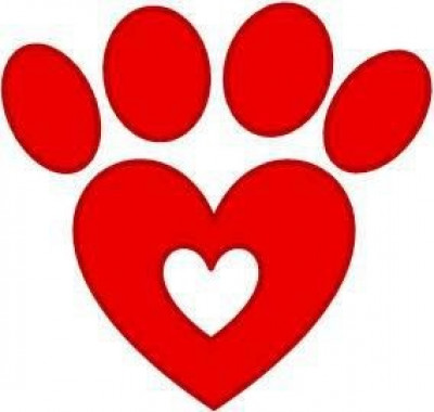 TOMcat Animal Rescue - Pet Shelter and Rescue in Southington, Connecticut