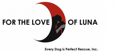 For The Love Of Luna Every Dog Is Perfect Rescue, Inc. - Pet Shelter and Rescue in Danbury, Connecticut