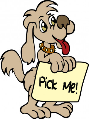 Pick Me! Pet Rescue - Pet Shelter and Rescue in Palm Harbor, Florida