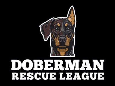 Doberman Rescue League - Pet Shelter and Rescue in Oakland Park, Florida