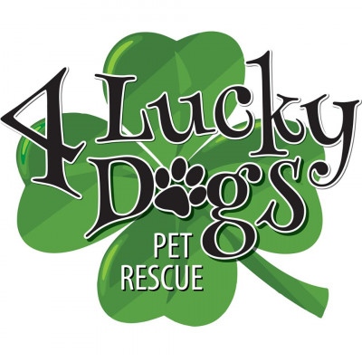 4 Lucky Dogs Pet Rescue, Inc. - Pet Shelter and Rescue in Valrico, Florida