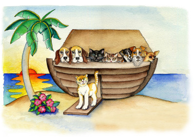 Key Largo Animal Shelter - Pet Shelter and Rescue in Key Largo, Florida