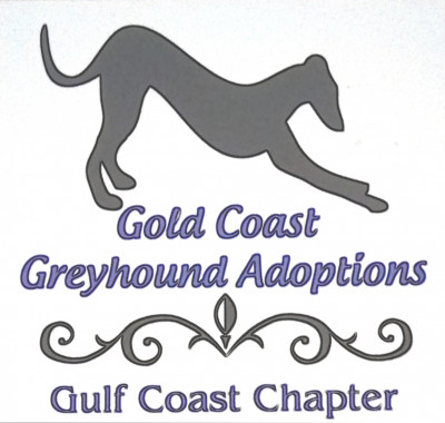 Gold Coast Greyhound Adoptions - Gulf Coast Chapter - Pet Shelter and Rescue in Tarpon Springs, Florida