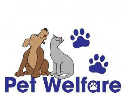 Pet Welfare - Pet Shelter and Rescue in Eglin Air Force Base, Florida