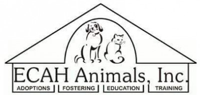 ECAH Animals Inc. - Pet Shelter and Rescue in Tallahassee, Florida