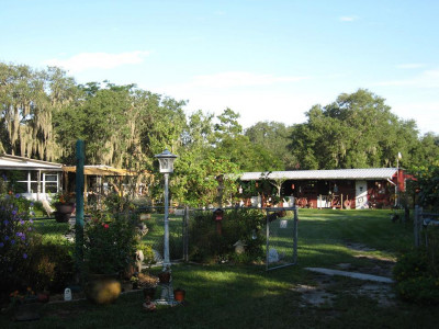 Fallin Pines Critter Rescue - Pet Shelter and Rescue in Christmas, Florida