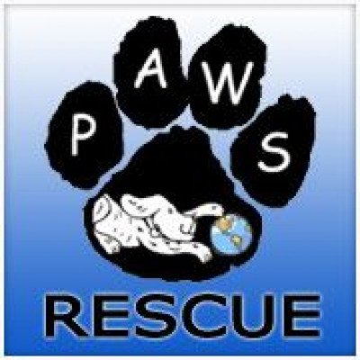 PAWS Rescue Group - Pet Shelter and Rescue in Seminole, Florida