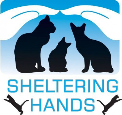Sheltering Hands Inc. - Pet Shelter and Rescue in Ocala, Florida