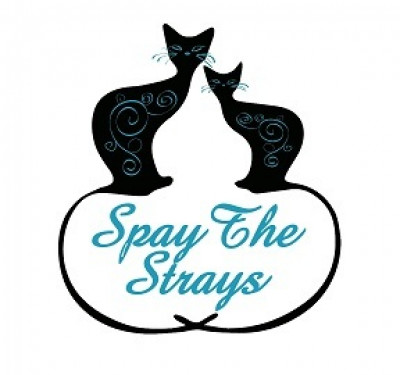 Spay The Strays Inc. - Pet Shelter and Rescue in St. Cloud, Florida