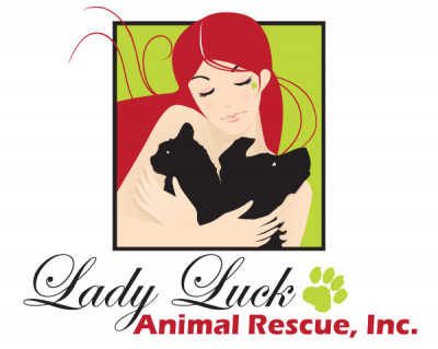 Lady Luck Animal Rescue - Pet Shelter and Rescue in Pompano Beach, Florida