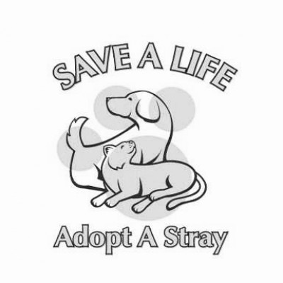 Adopt A Stray - Pet Shelter and Rescue in Hallandale Beach, Florida