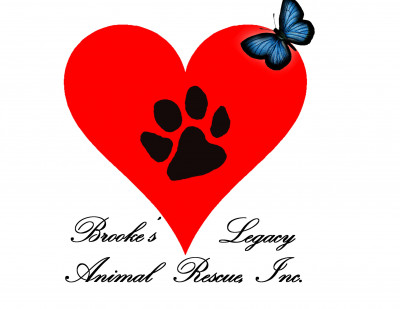 Brookes Legacy Animal Rescue, Inc. - Pet Shelter and Rescue in Naples, Florida
