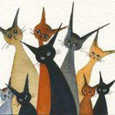 Cat Haven Rescue Inc - Pet Shelter and Rescue in Land O