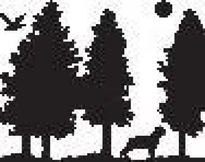 Barky Pines Animal Rescue Sanctuary Inc - Pet Shelter and Rescue in The Acreage, Florida