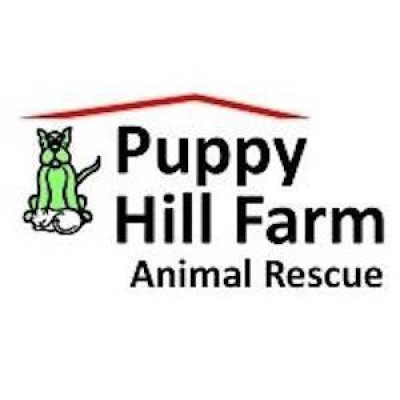 Puppy Hill Farm Animal Rescue - Pet Shelter and Rescue in Melrose, Florida