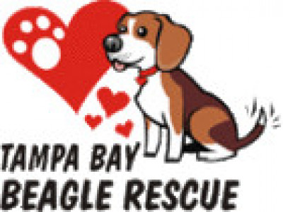 Tampa Bay Beagle Rescue Inc - Pet Shelter and Rescue in Odessa, Florida