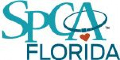 SPCA Florida - Pet Shelter and Rescue in Lakeland, Florida