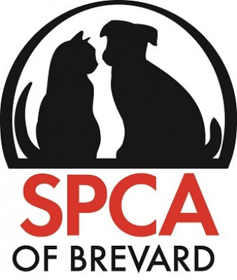 SPCA Of Brevard - Pet Shelter and Rescue in Titusville, Florida