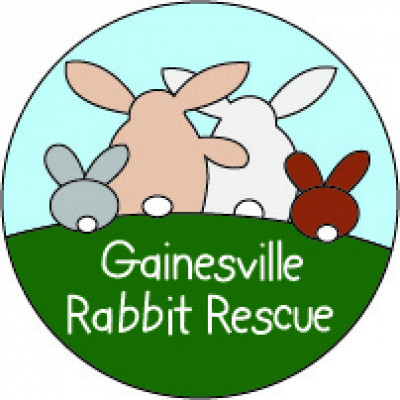 Gainesville Rabbit Rescue - Pet Shelter and Rescue in Gainesville, Florida