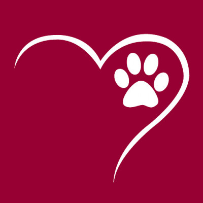 Humane Society Of Tampa Bay - Pet Shelter and Rescue in Tampa, Florida