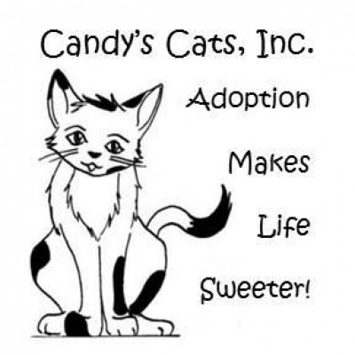 Candys Cats, Inc. - Pet Shelter and Rescue in Apopka, Florida