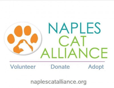 Collier Community Cat Coalition - Pet Shelter and Rescue in Naples, Florida
