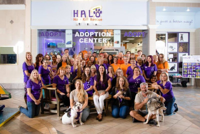 H.A.L.O. No Kill Rescue - Pet Shelter and Rescue in Sebastian, Florida