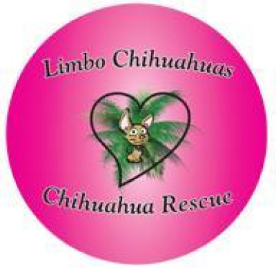 Limbo Chihuahuas - Pet Shelter and Rescue in South Pasadena, Florida