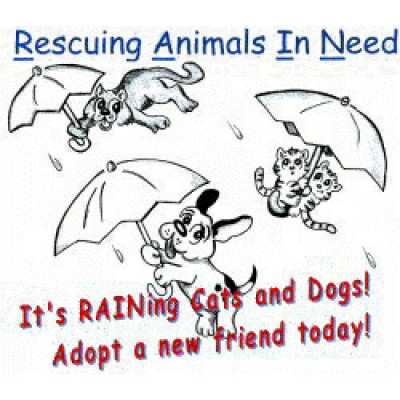 Rescuing Animals In Need - Pet Shelter and Rescue in Orlando, Florida